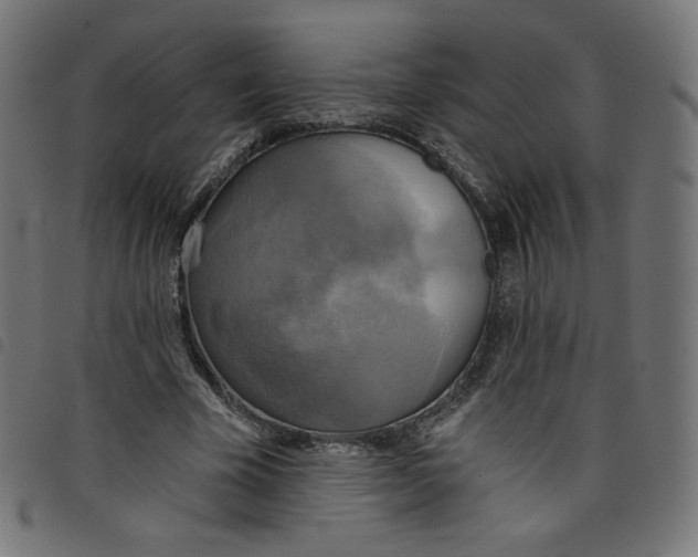 X0000098110585200804251429