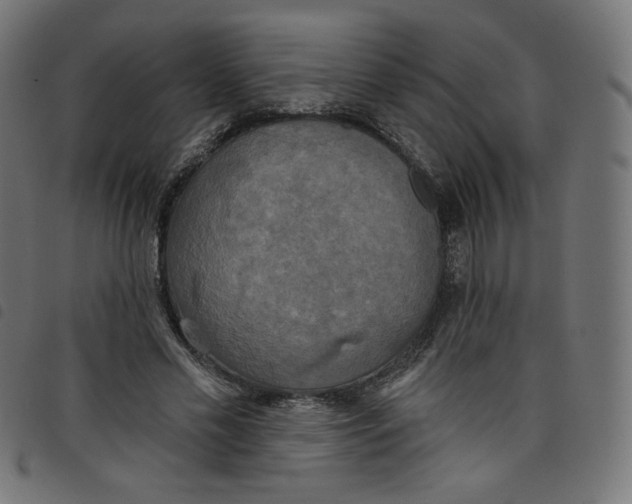 X0000098110589200804251429