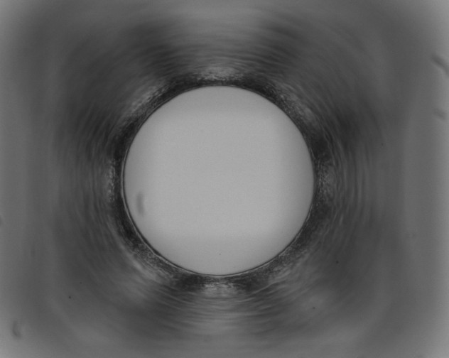 X0000098110591200804251429