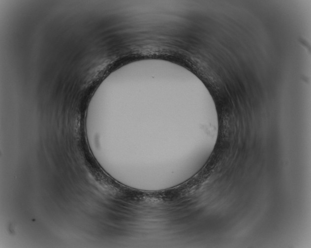 X0000098110592200804251429