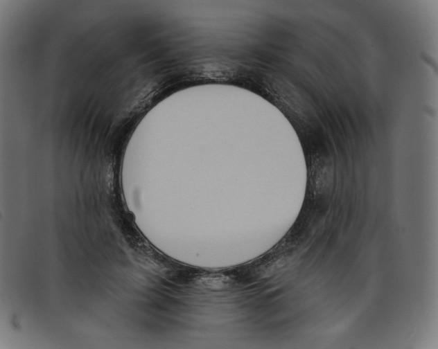 X0000098110595200804251429