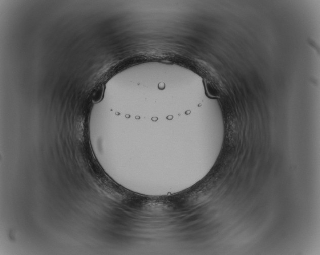 X0000098110596200804251429