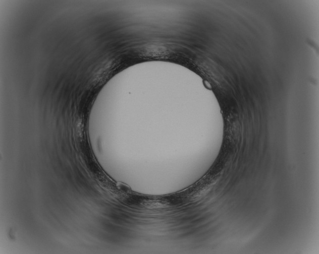 X0000098110597200804251429