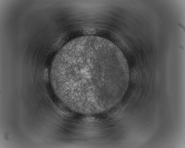 X0000098110598200804251429