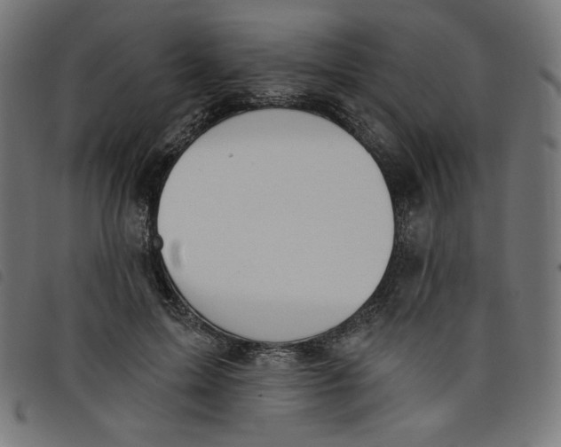 X0000098110599200804251429