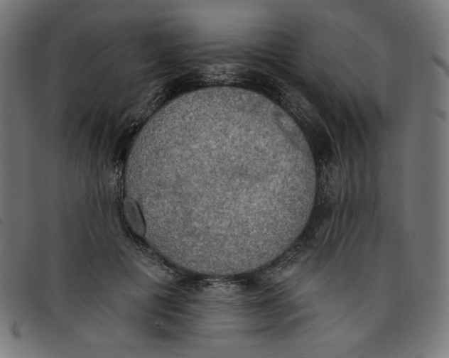 X0000098110601200804251429