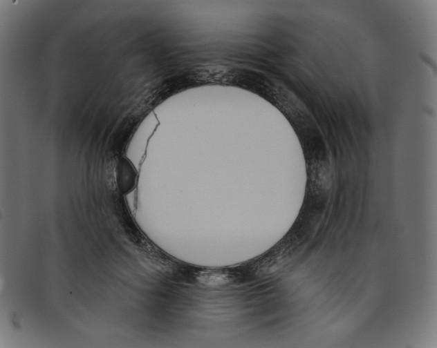 X0000098110602200804251429