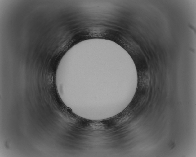 X0000098110603200804251429