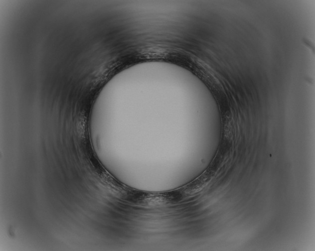 X0000098110604200804251429