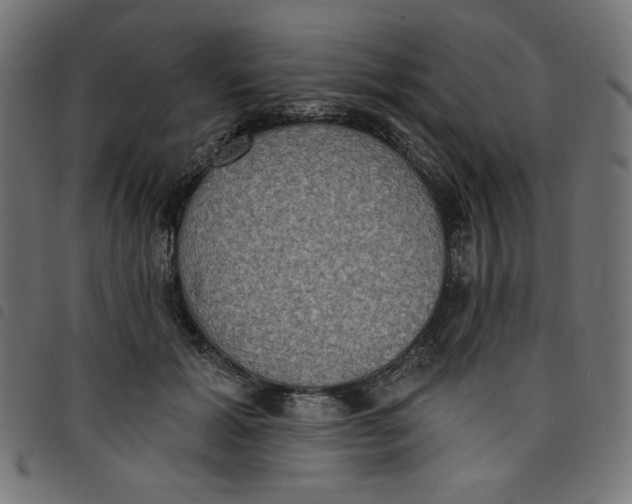 X0000098110605200804251429