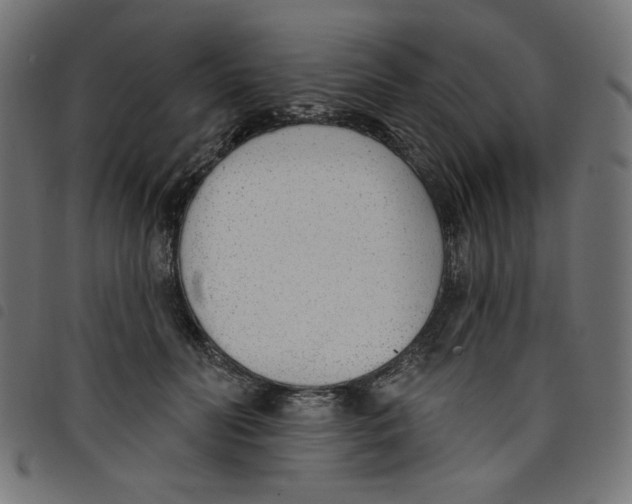 X0000098110606200804251429