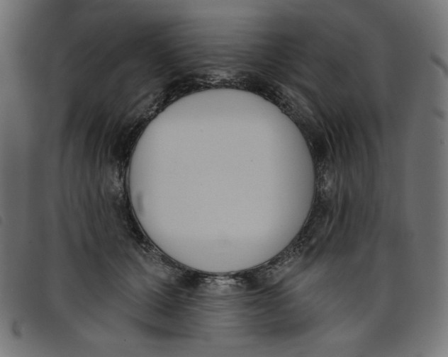 X0000098110607200804251429