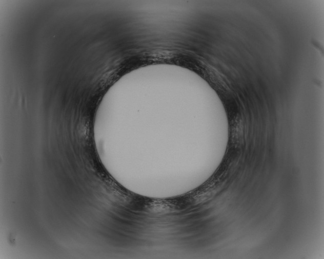 X0000098110608200804251429