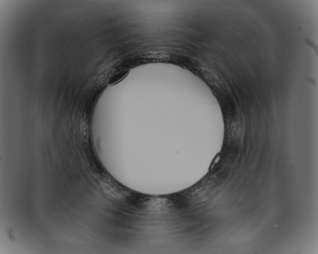 X0000098110609200804251429