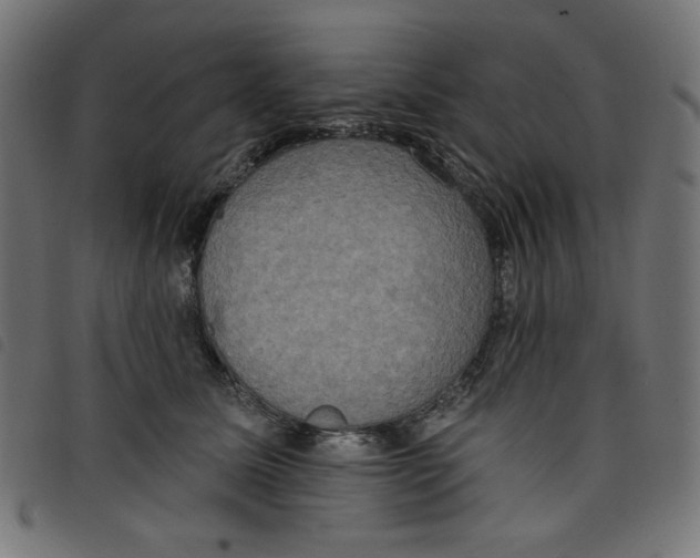 X0000098110611200804251429