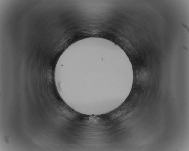 X0000098110612200804251429