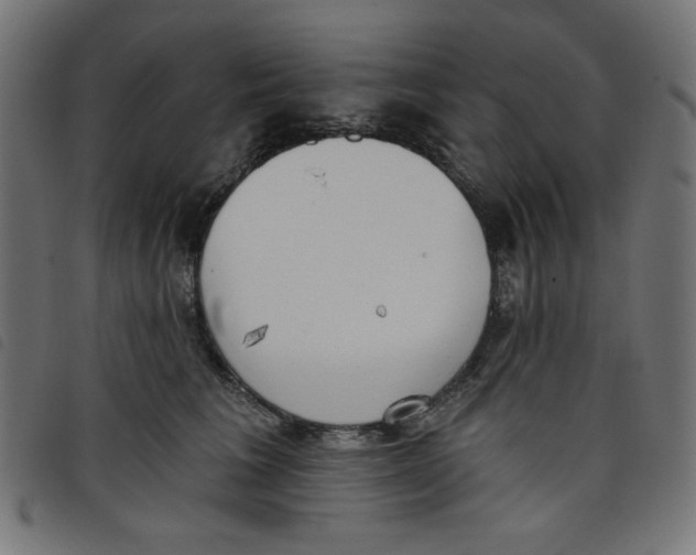 X0000098110613200804251429