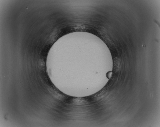 X0000098110614200804251429