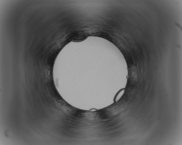 X0000098110615200804251429