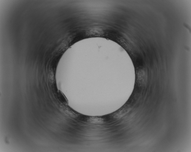 X0000098110617200804251429