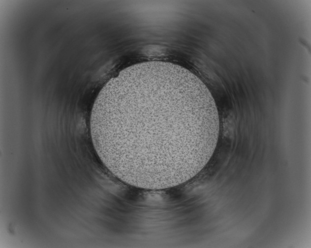 X0000098110618200804251429