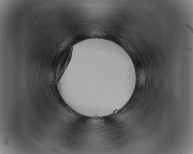 X0000098110619200804251429