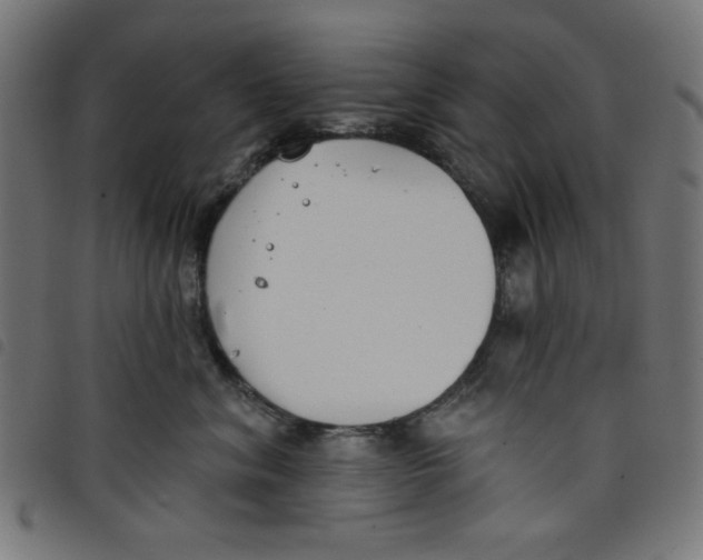 X0000098110620200804251429