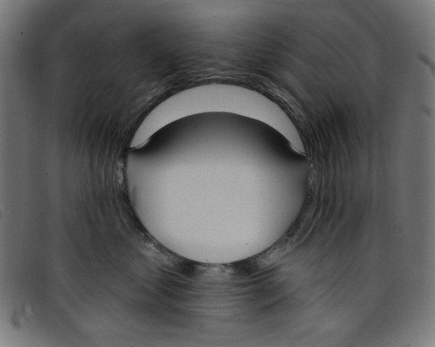 X0000098110621200804251429