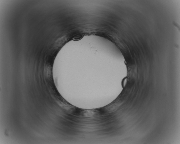 X0000098110623200804251429