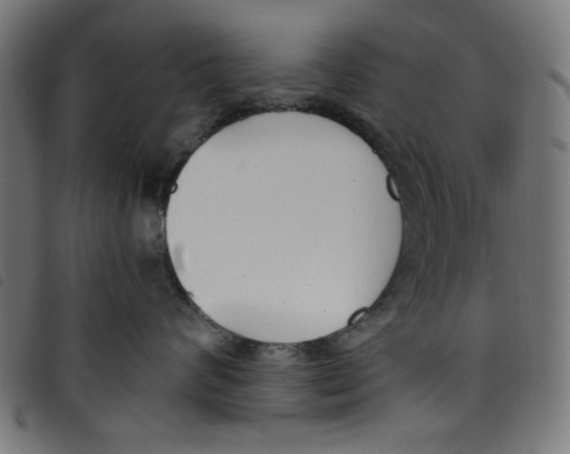 X0000098110624200804251429