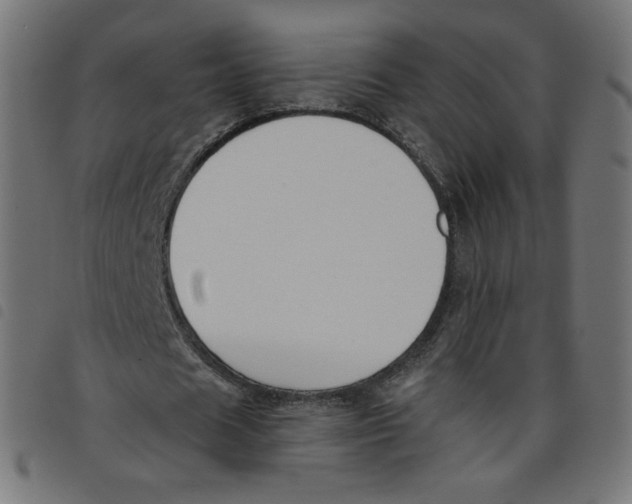 X0000098110625200804251428