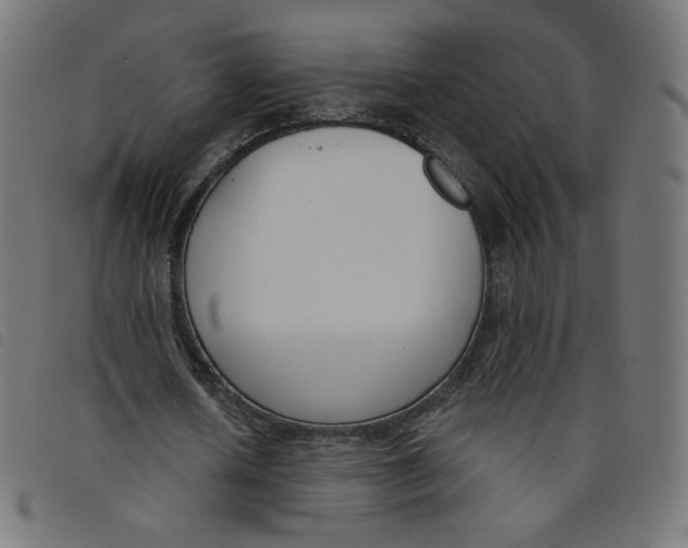 X0000098110626200804251428