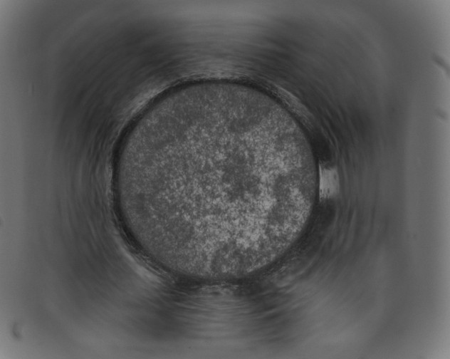 X0000098110627200804251428