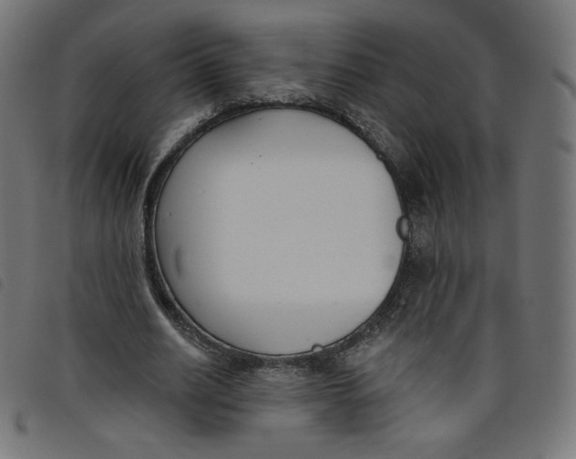 X0000098110630200804251428