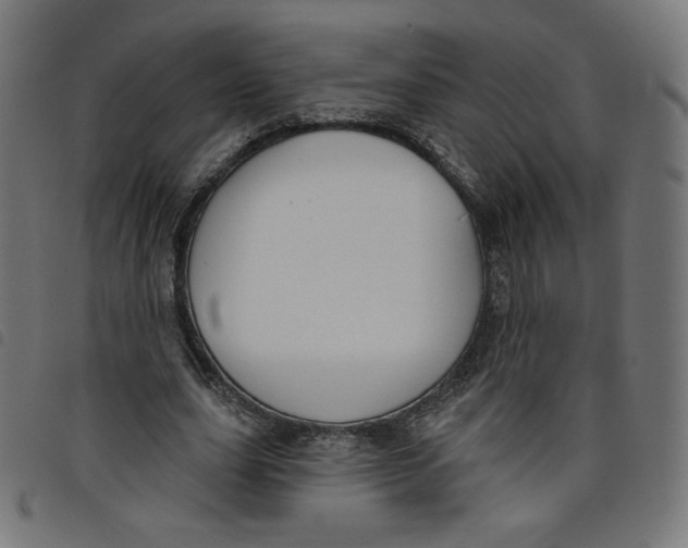 X0000098110631200804251428