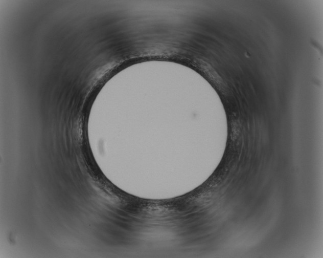 X0000098110632200804251428