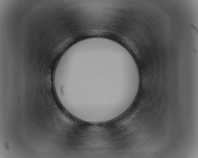 X0000098110633200804251428