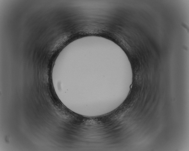 X0000098110635200804251428