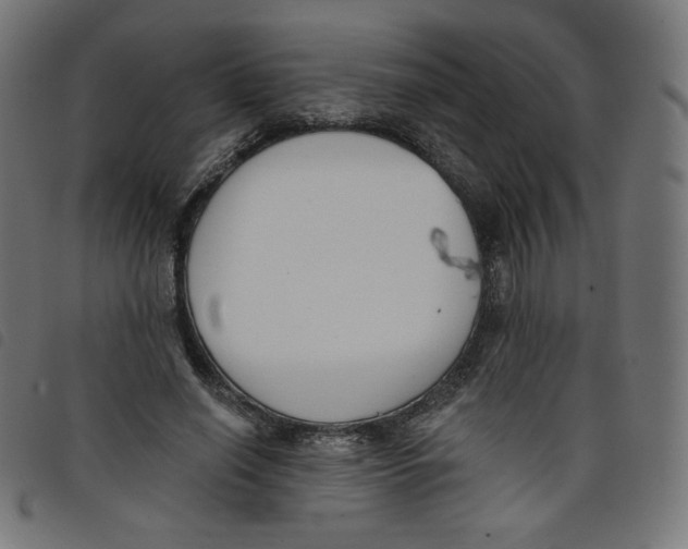 X0000098110638200804251428