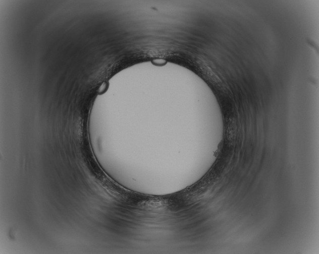 X0000098110639200804251428