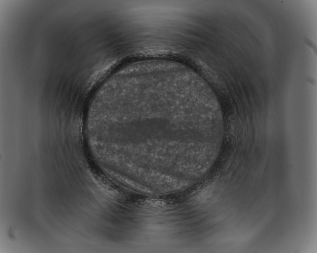 X0000098110640200804251428