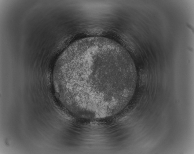 X0000098110641200804251428