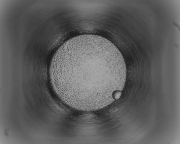 X0000098110642200804251428