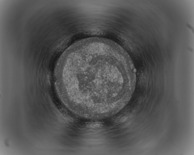 X0000098110643200804251428