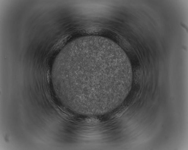 X0000098110644200804251428