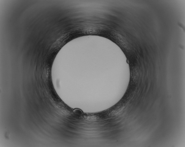 X0000098110645200804251428