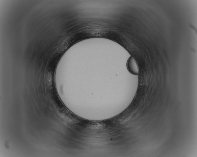 X0000098110646200804251428