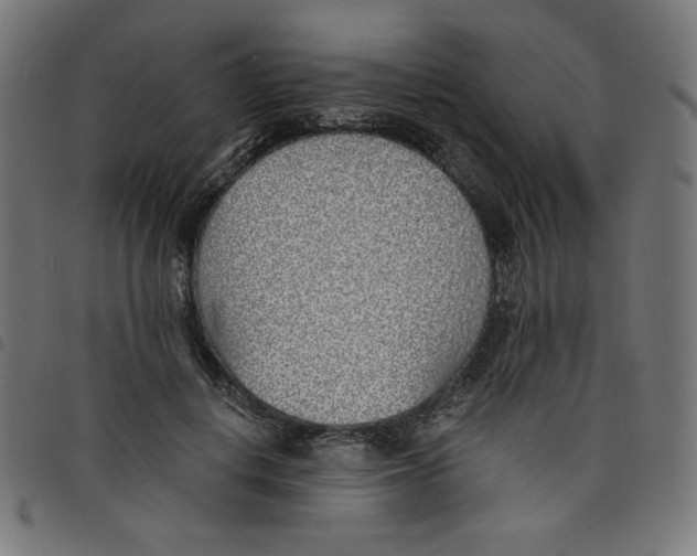 X0000098110648200804251428