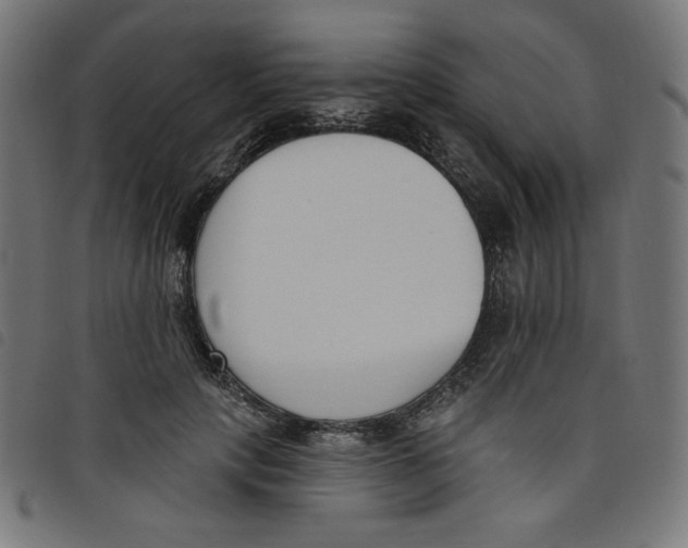 X0000098110649200804251428