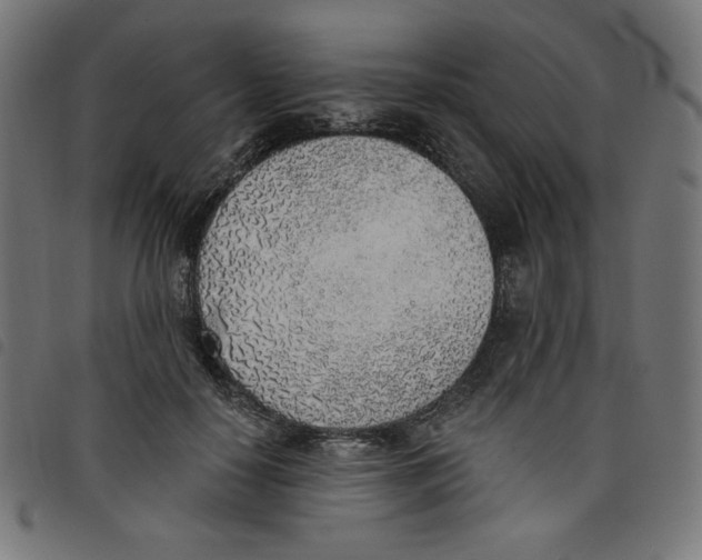 X0000098110650200804251429